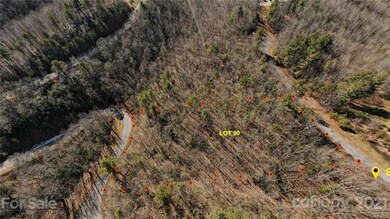 approximate lot lines of lot 50