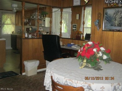 407 Vine St, Geneva, OH 44041 - photo 7