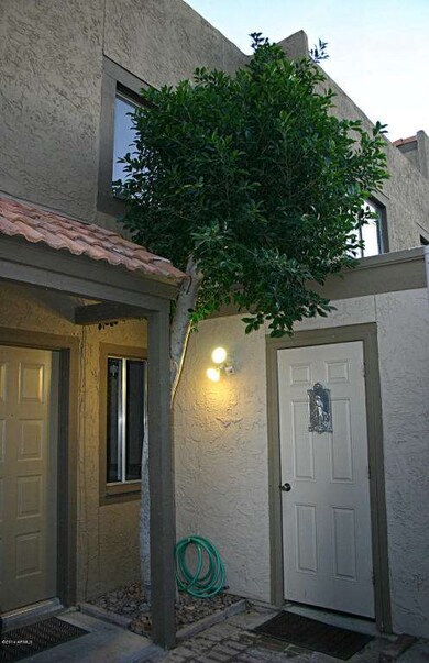 CourtyardTree
