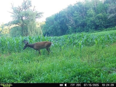 40 Acre unit Walnut Lane, Richland Center, WI 53581 - photo 7