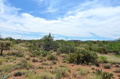 Blue Skies and Open Space
