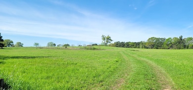 50.18 Acres Fm 2782, Nacogdoches, TX 75964 - photo 6