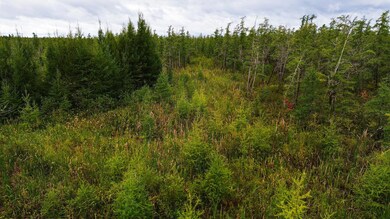 TBD State Highway 210 W, McGregor, MN 55760 - photo 3