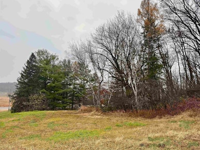 4732 Wisconsin 78, Black Earth, WI 53515 - photo 6