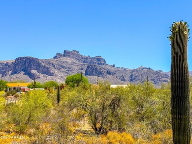 IMG_0774