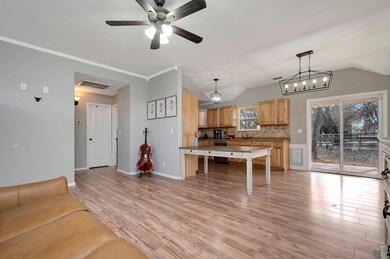 133 Meadow Rd, Springtown, TX 76082 - photo 6