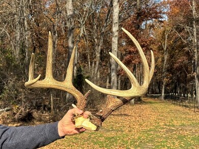 6745 E Highway Cc, Stockton, MO 65785 - photo 7