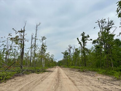 Parcel #E Town Line Rd, Lewiston, MI 49756 - photo 7