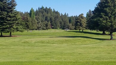 9 Eagle Bend Dr, Bigfork, MT 59911 - photo 7