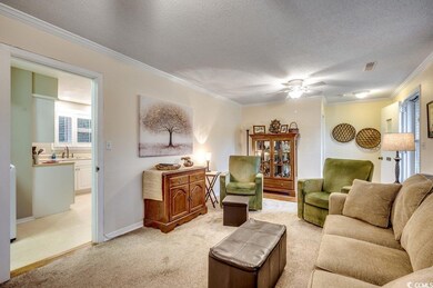Carpeted living room with a textured ceiling, ceil