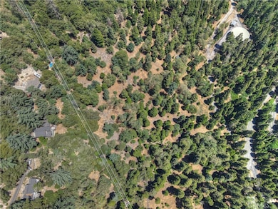 0 Pine unit IG25156077, Twin Peaks, CA 92391 - photo 6