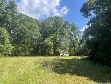 View from pond to house