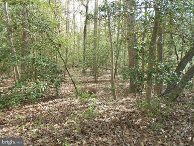 24927 Betts Ln, Georgetown, DE 19947 - photo 4