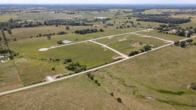 Tract #11 Highway Ee, Jackson Township, MO 65644 - photo 4