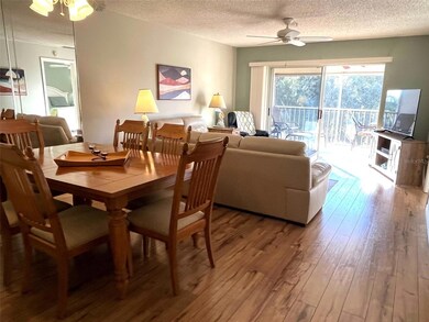 6501 Stone River Rd unit 306, Bradenton, FL 34203 - photo 6