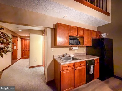 565 Glendale Rd unit B206, Oakland, MD 21550 - photo 4