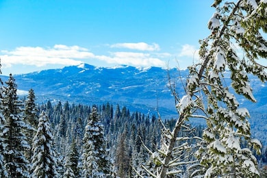 SW View