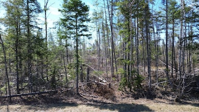 Lot 31C B Rd, Houlton, ME 04730 - photo 6