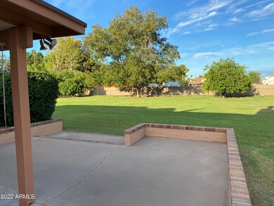Fletcher Rear Yard 1