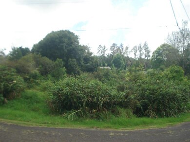 000 Ehu Iki Place, Makawao, HI 96768 - photo 5