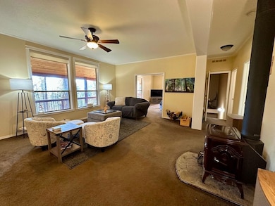 48144 E Pine Creek Rd, Halfway, OR 97834 - photo 7