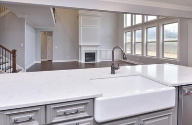 View into the Great Room from the Farmhouse Sink in the Island.  Photos are from a different Community Model but Similar Floor-plan.