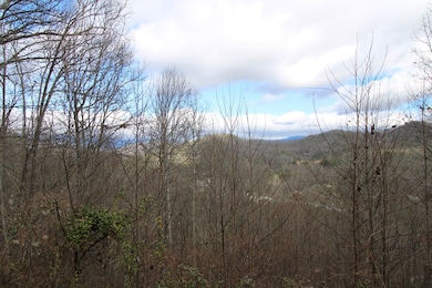 236 Plainview Ridge, Sylva, NC 28779 - photo 7