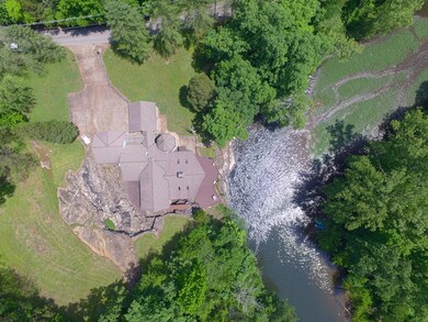 birds eye