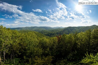 1318 Roundleaf Ln, Ferguson, NC 28624 - photo 3