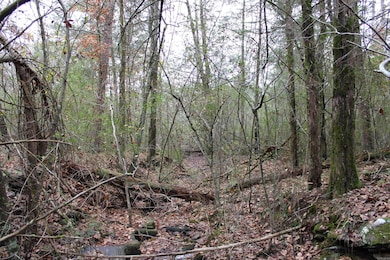 1790 Miller Point Rd S, Quitman, AR 72131 - photo 6