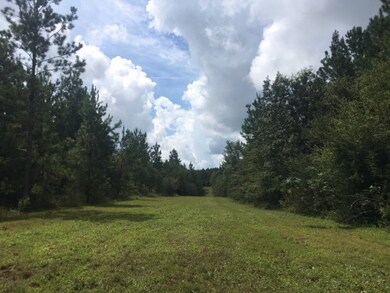 00 N Patten Rd, Tylertown, MS 39667 - photo 6