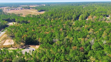 25219 Chisos Bend, Montgomery, TX 77316 - photo 6