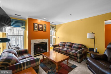 4650 Alcott Way unit 203, Owings Mills, MD 21117 - photo 7