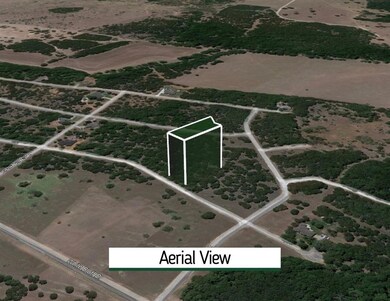 30027 Woodcrest Ct, Whitney, TX 76692 - photo 2