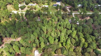 26077 Bent Oak Dr, Hockley, TX 77447 - photo 6