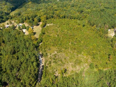 317 Hidden Leaf Trail, Nacogdoches, TX 75964 - photo 4