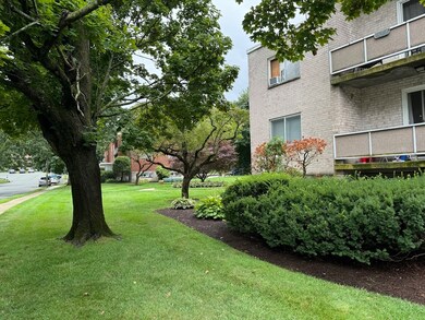 41 Lionel Ave unit B, Waltham, MA 02452 - photo 2