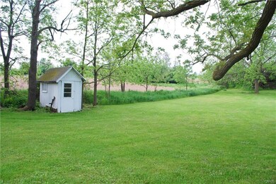 Storage Shed in Back Yard