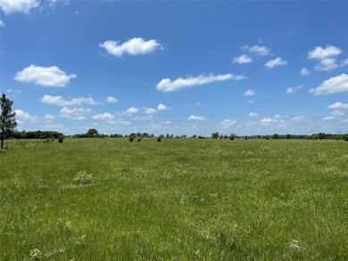 16620 Penick Rd, Waller, TX 77484 - photo 6