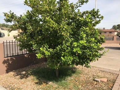 5901 W Cypress St, Phoenix, AZ 85035 - photo 7