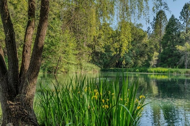 unlisted-address, Fiddletown, CA 95629 - photo 5