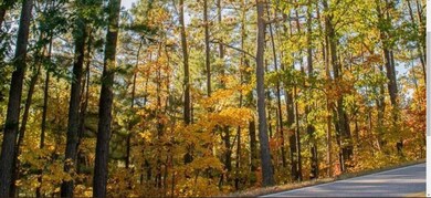 0 York Dr & Clark Ln, Bella Vista, AR 72714 - photo 4