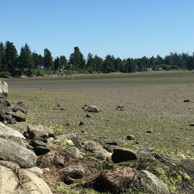 0 Dodd St, Blaine, WA 98230 - photo 2