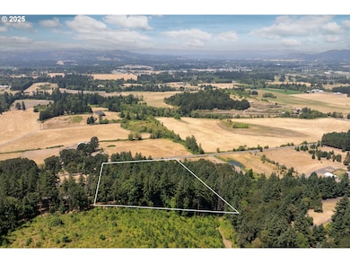 31795 NE Wilsonville Rd, Newberg, OR 97132 - photo 4