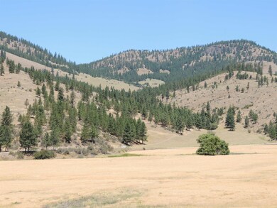 XXX Egypt Loop Rd unit Sunset Mountain Ridg, Davenport, WA 99122 - photo 5