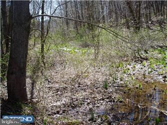 L:9948 State Rd, Boyertown, PA 19512 - photo 7