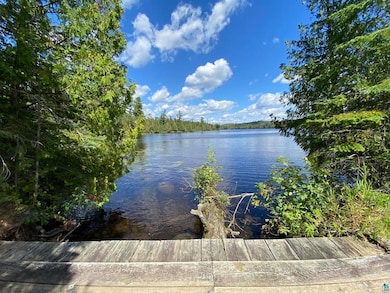 XXD Pine Peak Rd, Lutsen, MN 55612 - photo 7