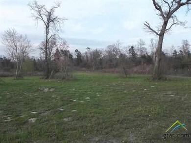 20834 County Road 26, Tyler, TX 75705 - photo 4