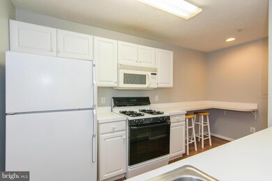 655 Burtons Cove Way unit 10, Annapolis, MD 21401 - photo 7