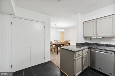 3109 Patrick Henry Dr unit 623, Falls Church, VA 22044 - photo 7